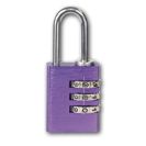 Zámek visací Richter RV.12002.30